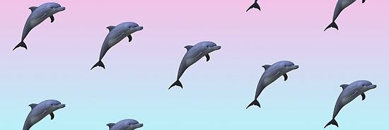 A_Crossley_'s profile banner image