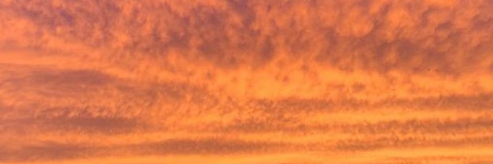 sergioorozcoo's profile banner image