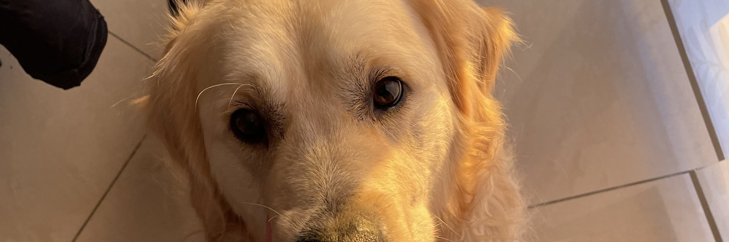 marrcsn's profile banner image
