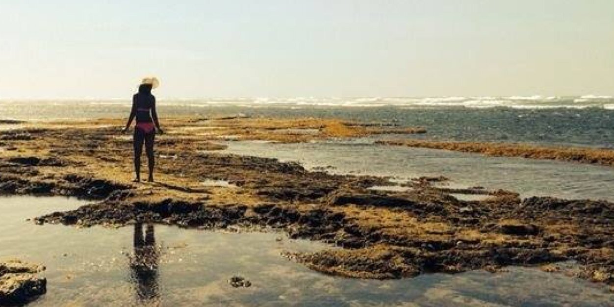 MichelleCruz01's profile banner image