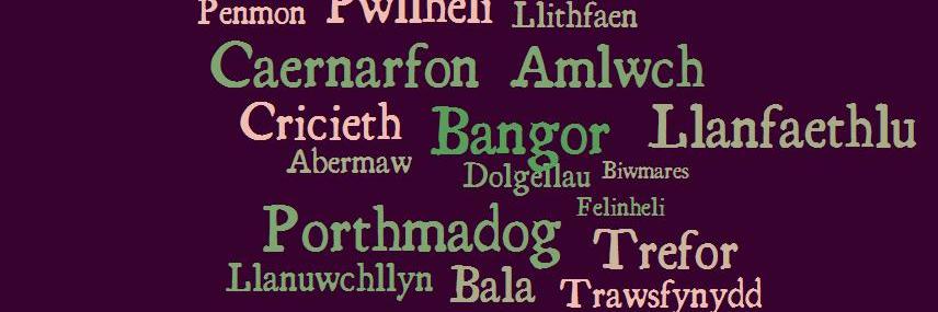 CYI Gwynedd a Môn banner