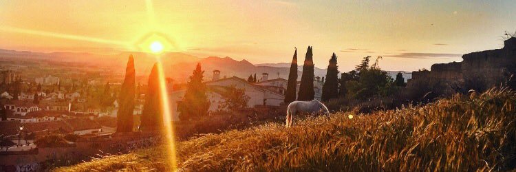 cleyrer865's profile banner image
