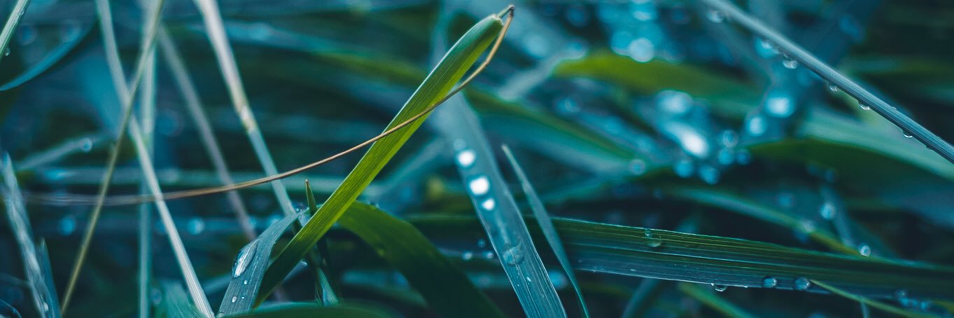 Katherine Weber banner