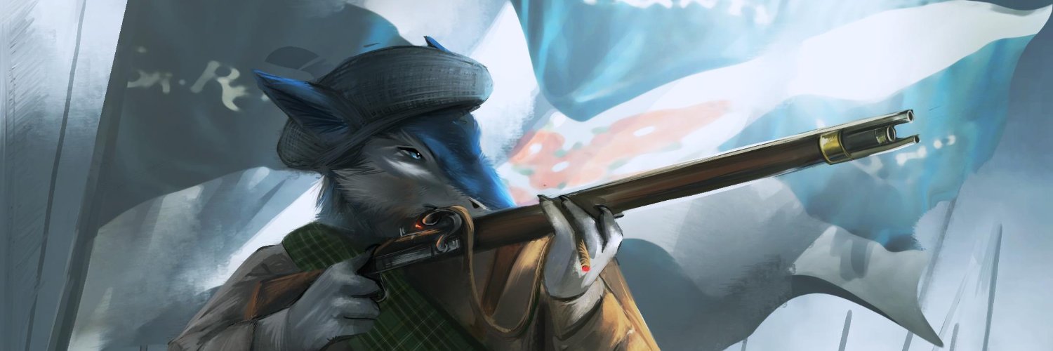 Slaevek banner