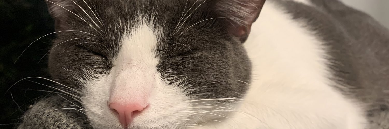 fogeyy's profile banner image