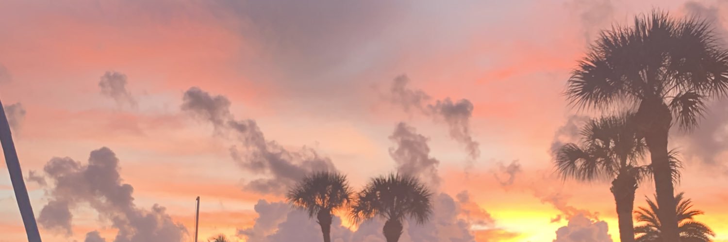 brittdeise's profile banner image