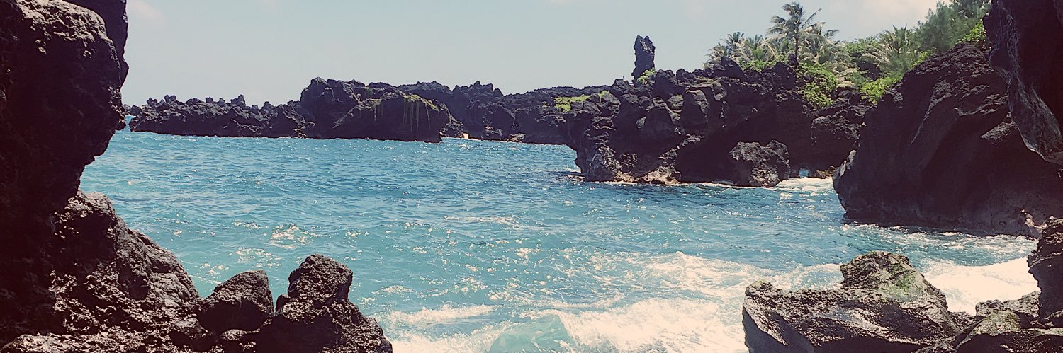 caitycronin's profile banner image