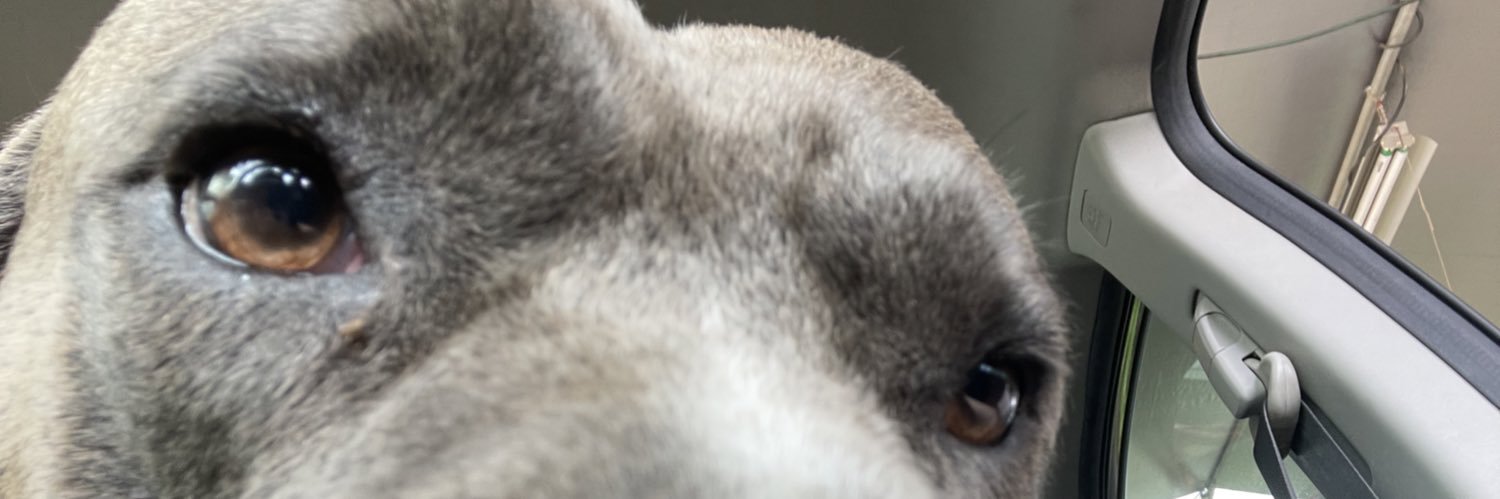 SheeeeshJeri's profile banner image