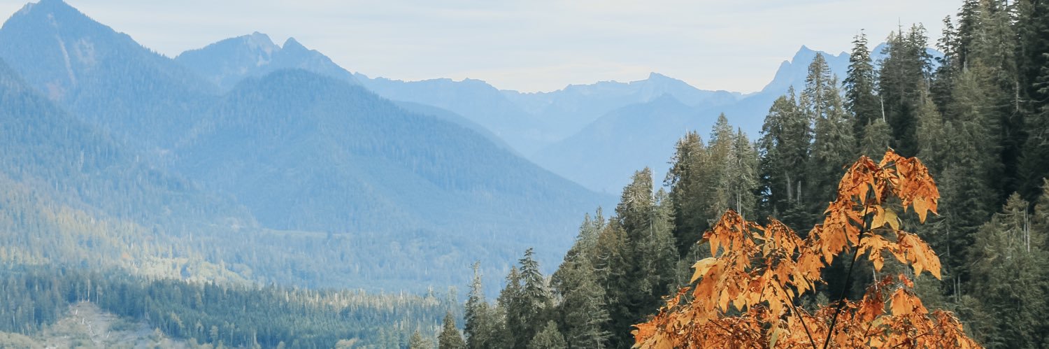 marleekane's profile banner image
