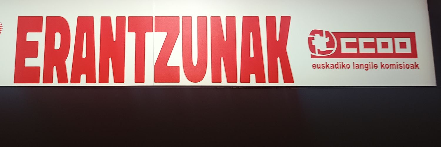 Zerbitzuak CCOO banner
