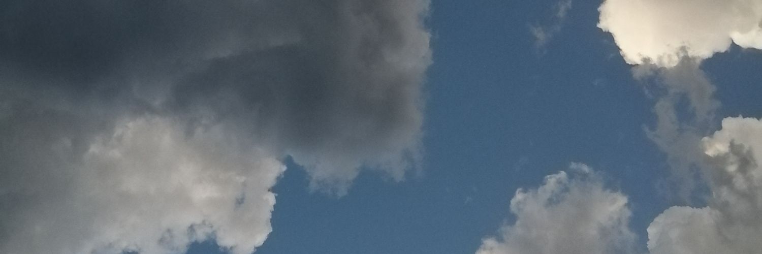 almost a Monet painting banner