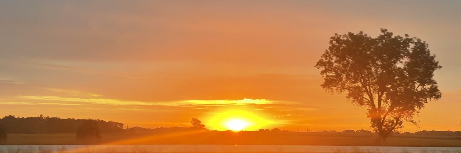 erinn. banner