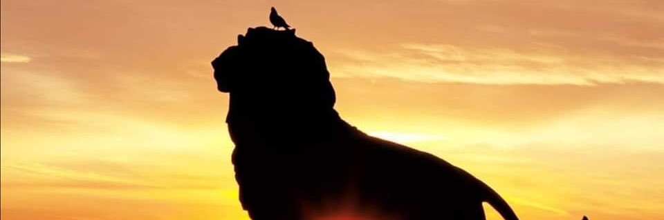chavitachico's profile banner image