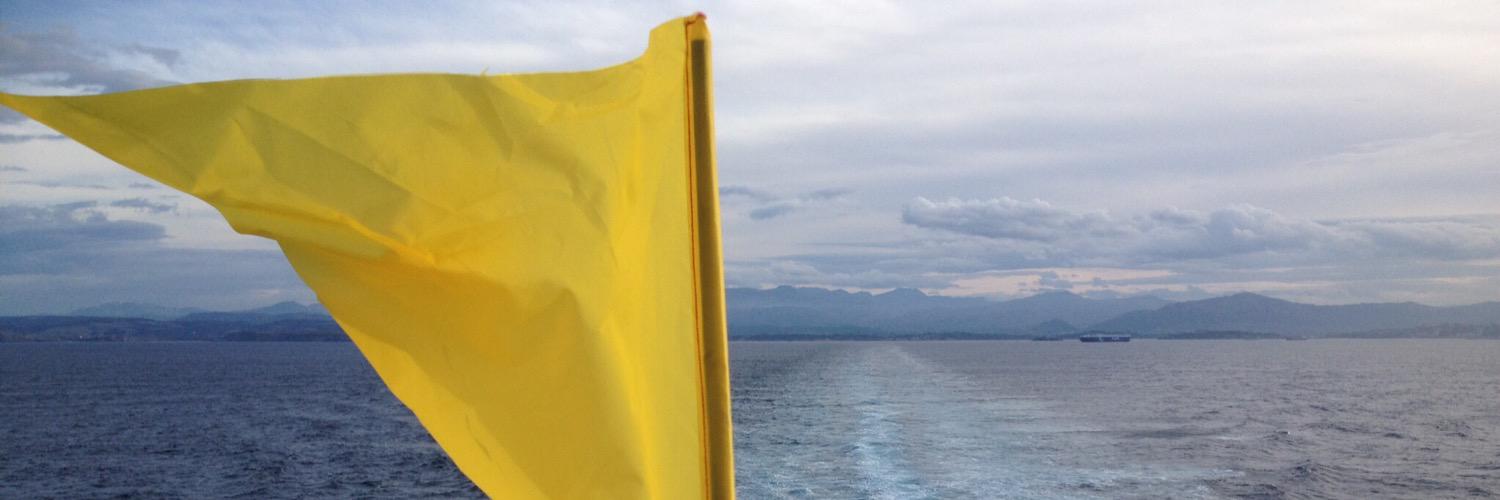 Catrin Webster banner