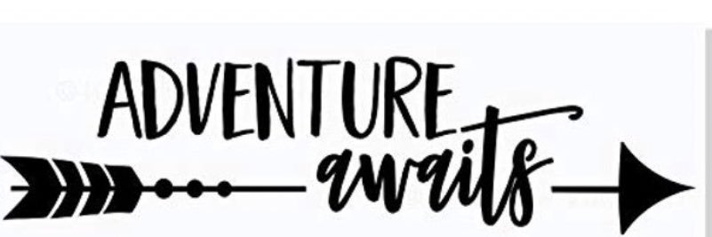 Dr. Lindy Phelps Henderson (she/her) banner