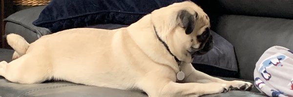 wschuller44 Profile Banner