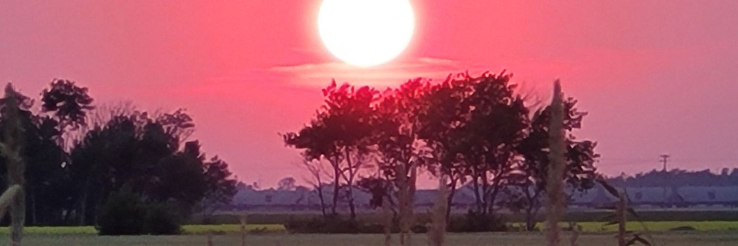 gregandrushko's profile banner image