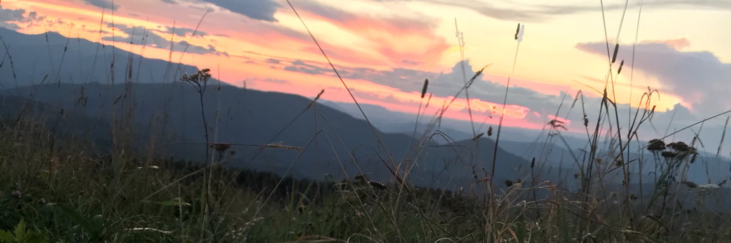 thaleys17's profile banner image