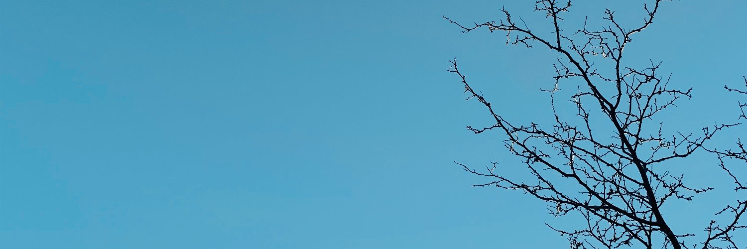 SydLevitt's profile banner image