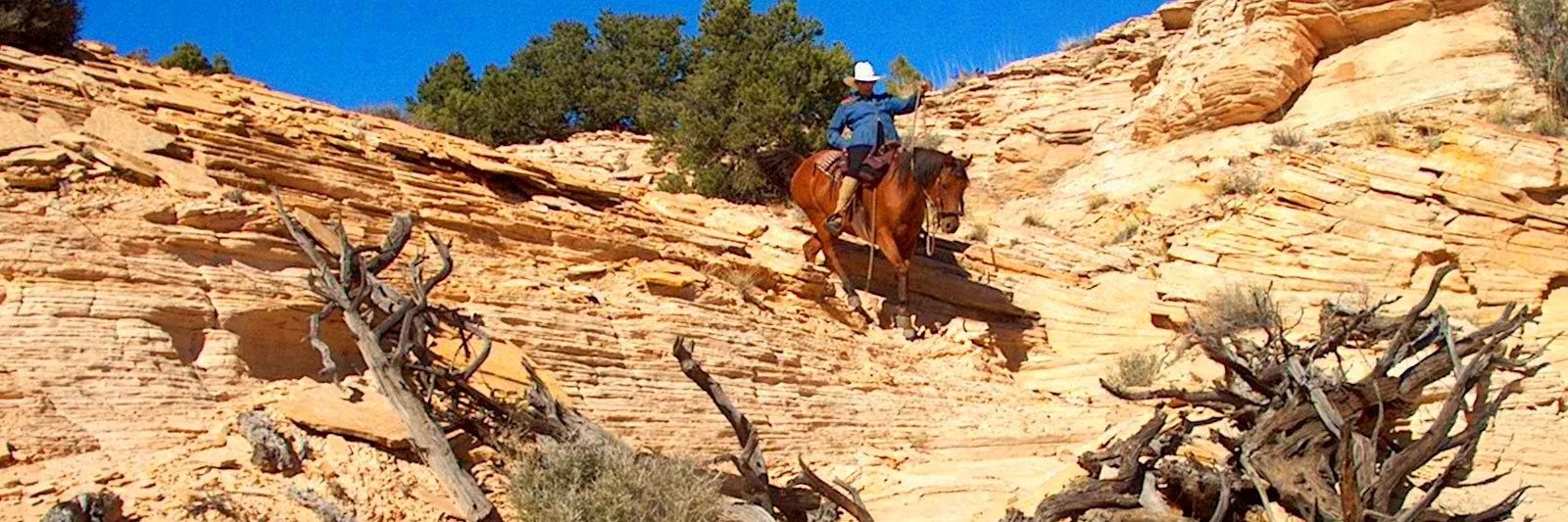 Joane Pappas White banner