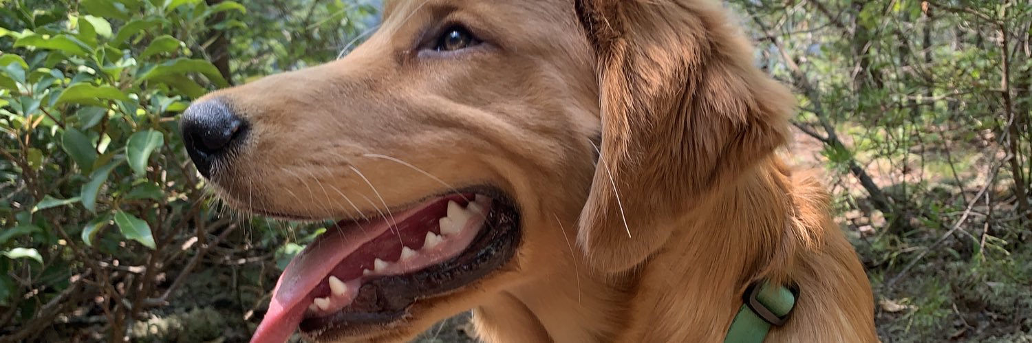 DylanDenlinger's profile banner image