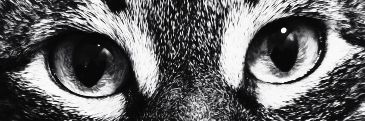 joneeuk's profile banner image