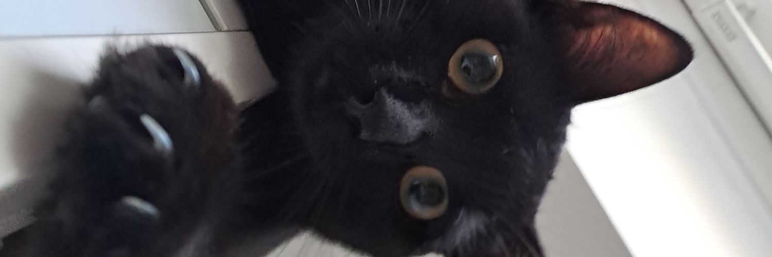 _AmRocK_'s profile banner image