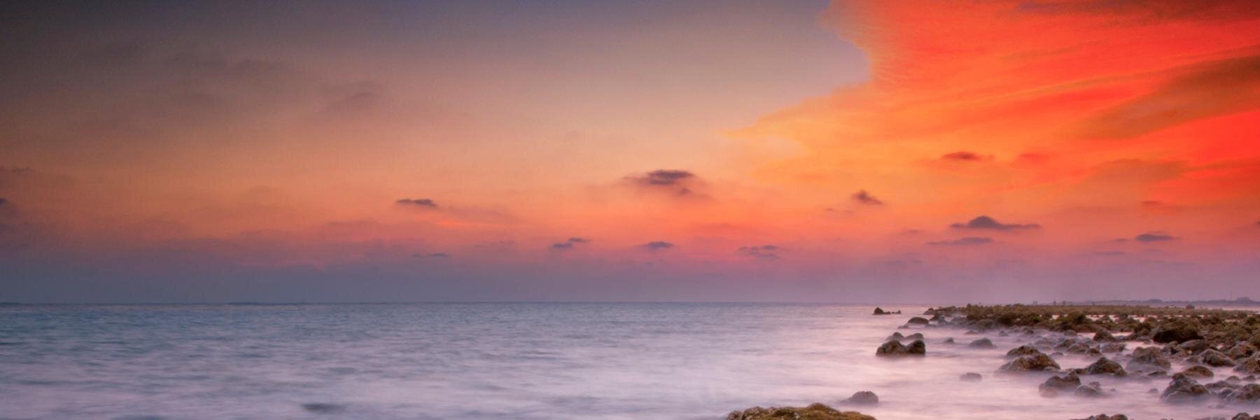 munah_a's profile banner image