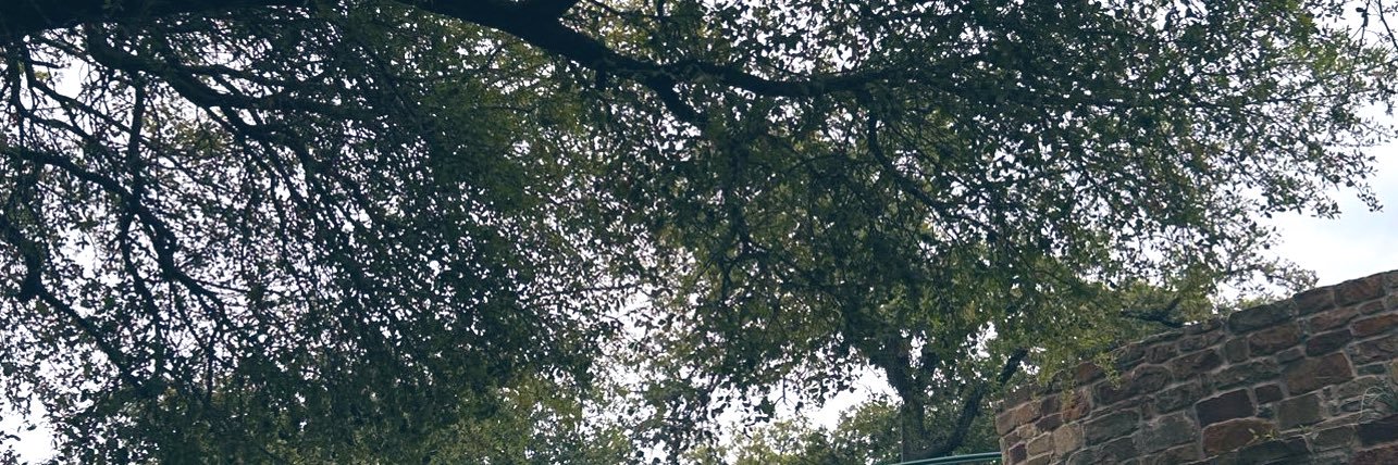 rajdvdd's profile banner image