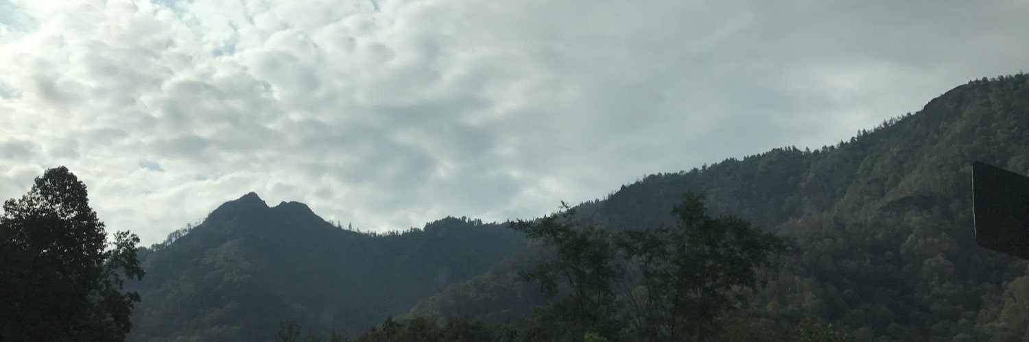 BritneyCollins3's profile banner image