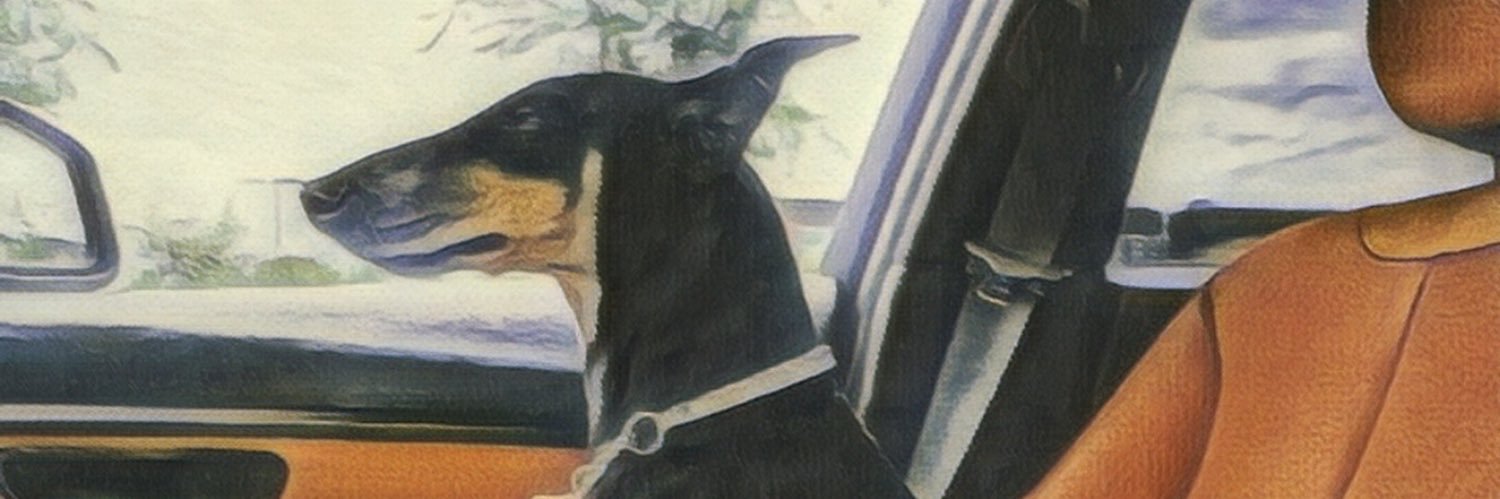 RSilvaback's profile banner image