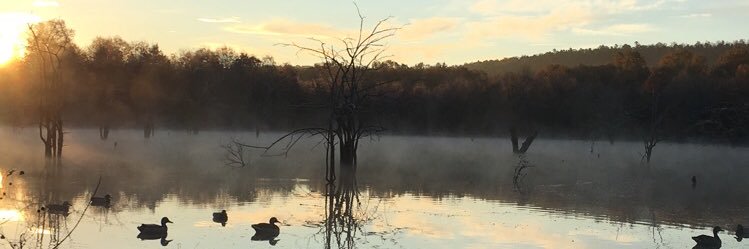 Chase_Hass71's profile banner image