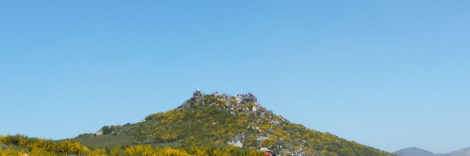 Diogo Pereira banner