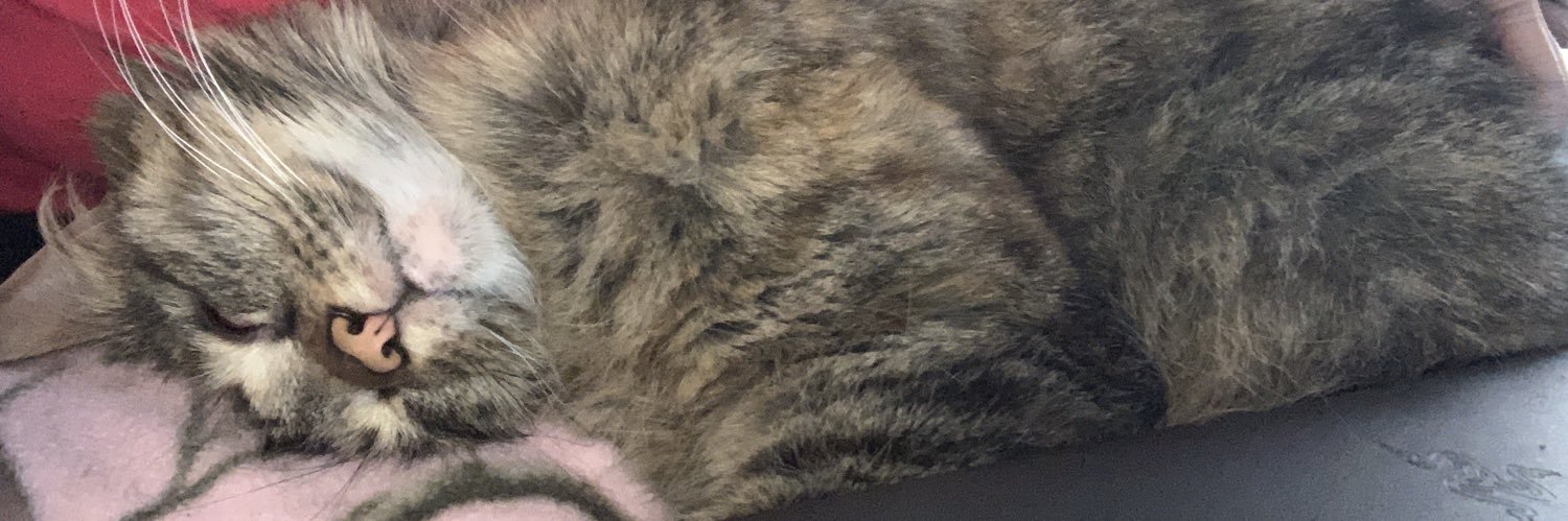 KimchiKittyGamr's profile banner image