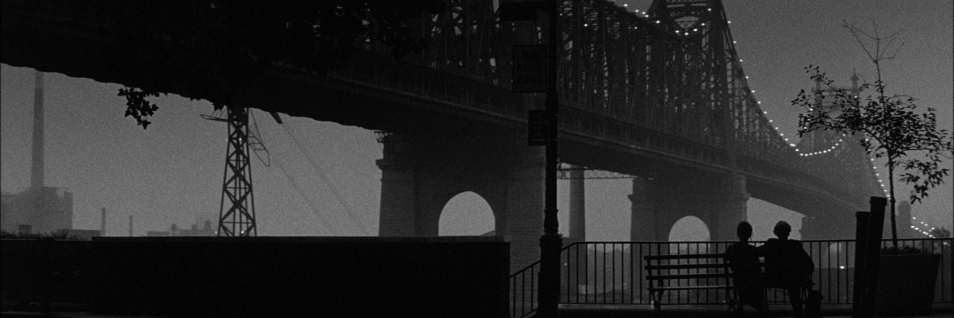 WoodyAllenDoc's profile banner image