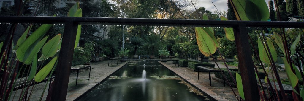 SUBotGarden's profile banner image
