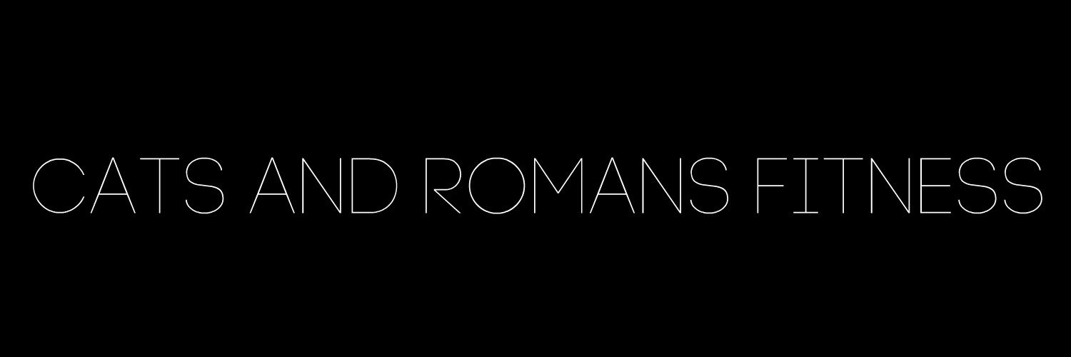 CatsAndRomans's profile banner image