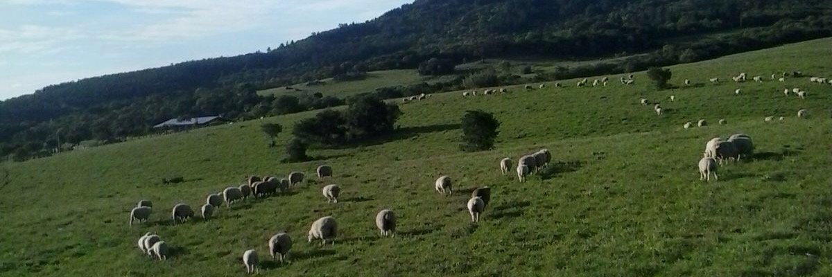 rtatsch10's profile banner image