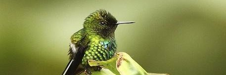 End Of Terror banner