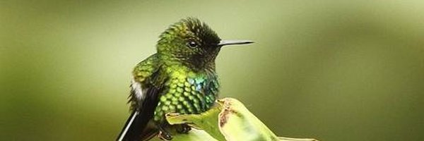 EndOfTerror Profile Banner