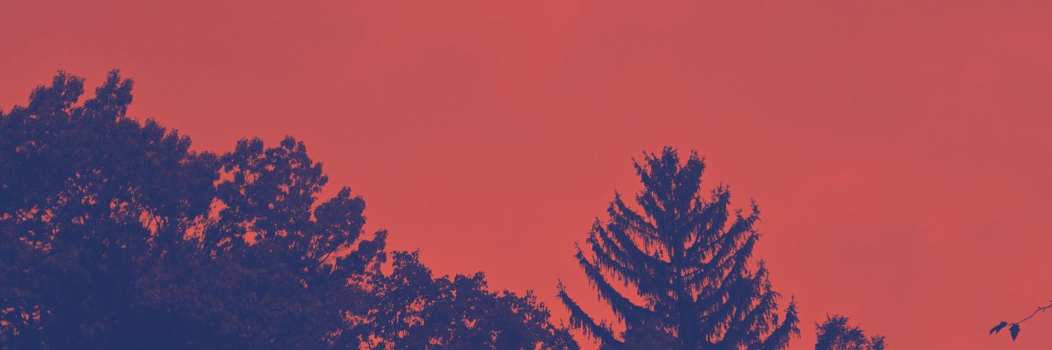 ayjefeholmes's profile banner image
