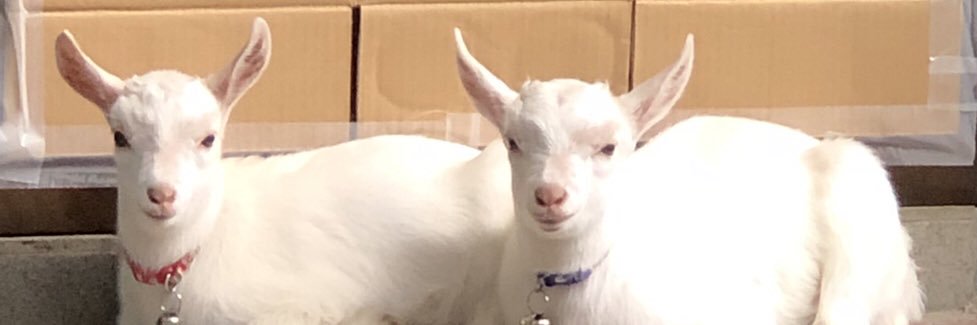 hiro_pepper's profile banner image