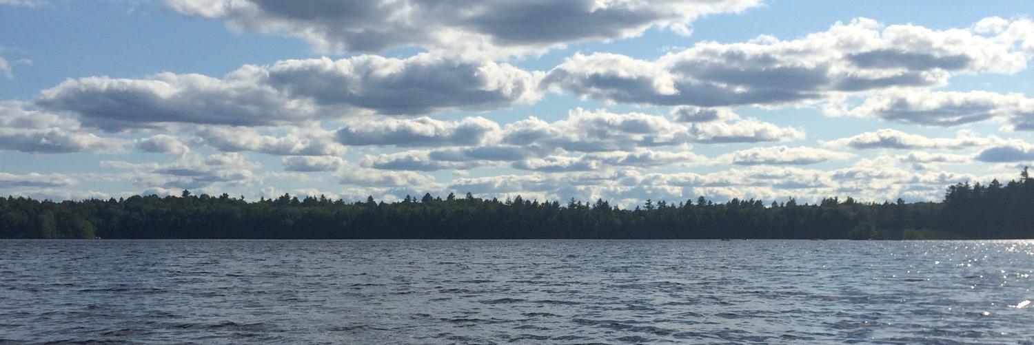 Shanimal1's profile banner image