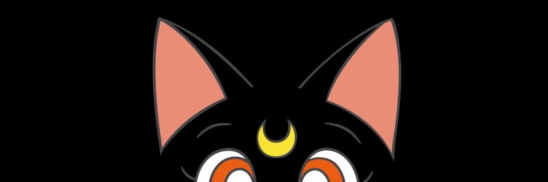 DinoLea's profile banner image