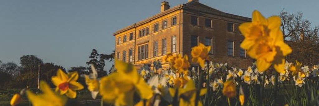 leadenhamtea's profile banner image