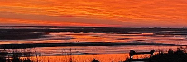 adam_phillips4 Profile Banner