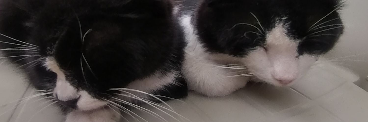 iso_maildinc's profile banner image