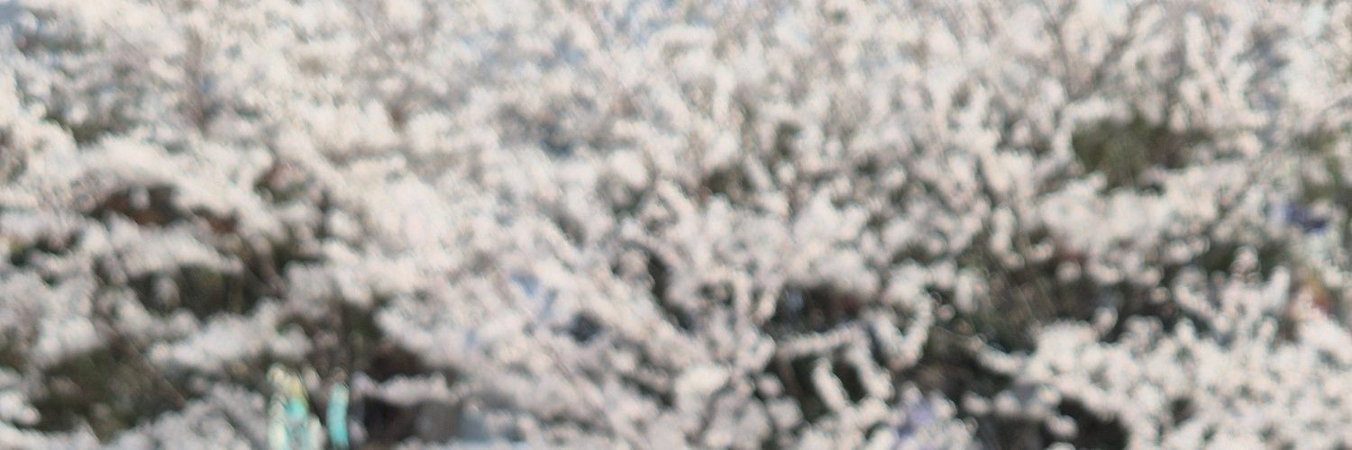 EInawa's profile banner image