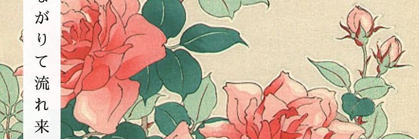 cata_cano's profile banner image