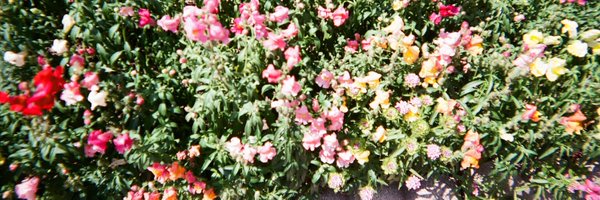 mennovers Profile Banner